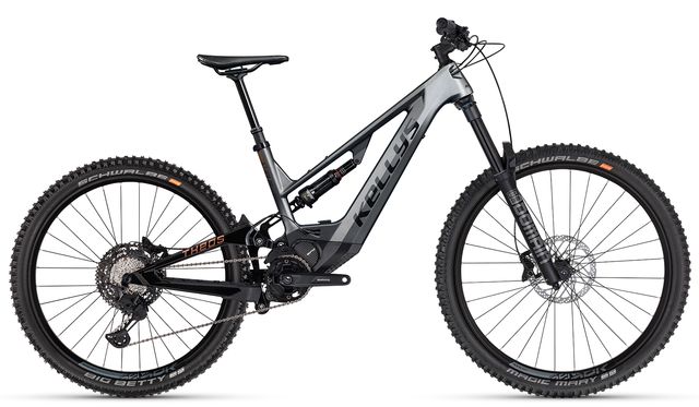 Theos F60 grau 5499-640